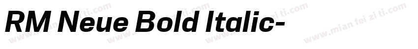 RM Neue Bold Italic字体转换
